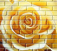 Bild, gelbe Rose auf Mauer